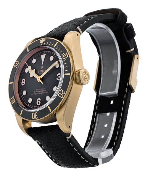 Tudor Black Bay M79250BA-0001
